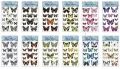Naklejki motyle 60x31cm MIX - tantis.pl