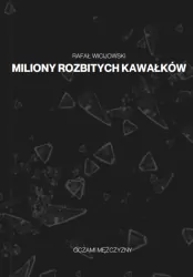 Miliony rozbitych kawałków