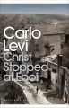 Christ Stopped at Eboli wer. angielska - tantis.pl