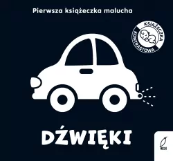 Dźwięki. Pierwsza książeczka malucha