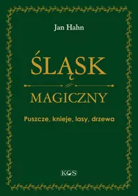 Śląsk magiczny. Puszcze, knieje, lasy, drzewa - tantis.pl