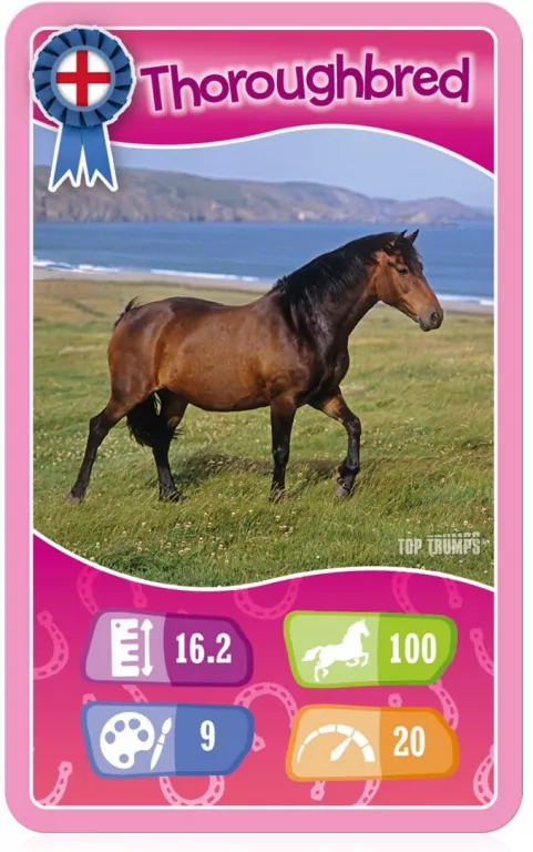 Top trumps Konie, Kucyki i Jednorożce - tantis.pl