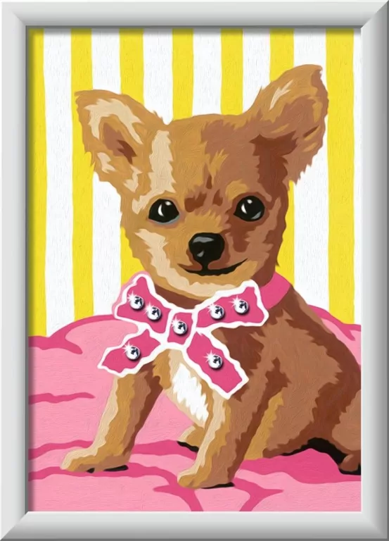 CreArt for Kids Little Chihuahua - tantis.pl
