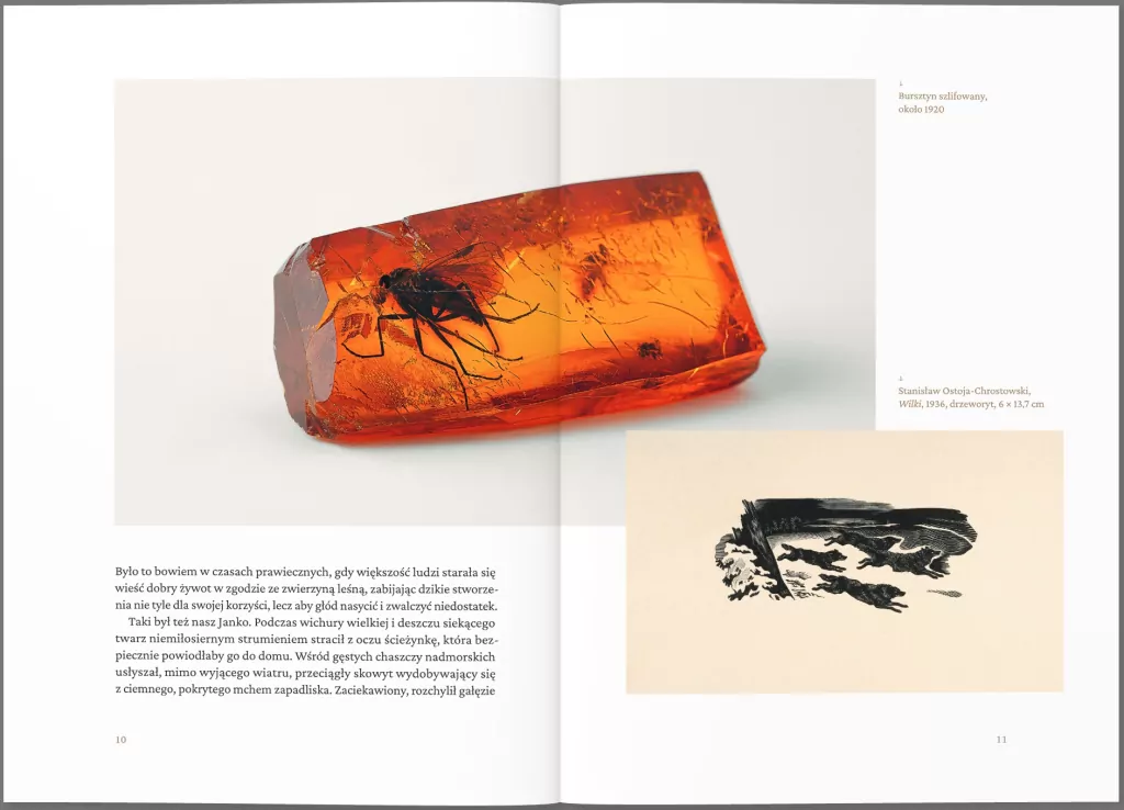 O latarni Stilo i inne pomorskie legendy - tantis.pl