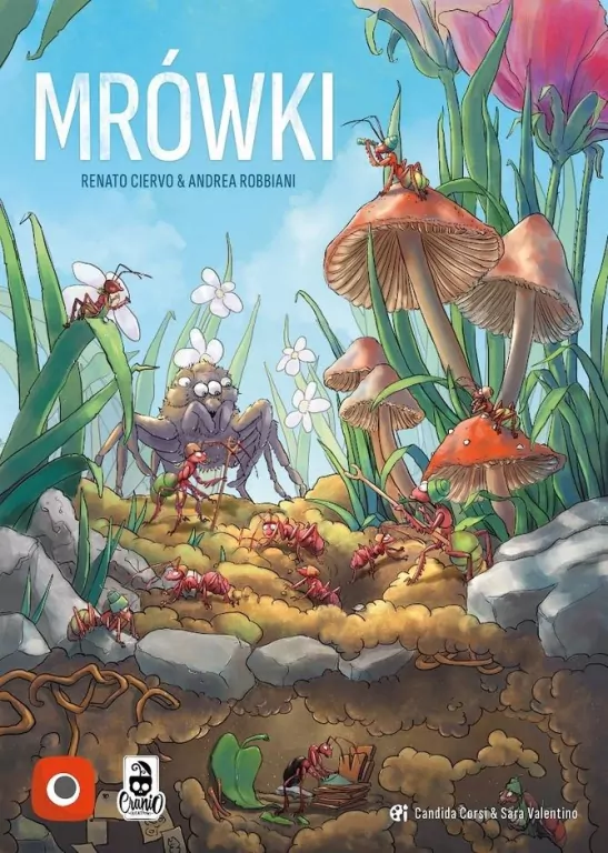 Mrówki PORTAL - tantis.pl