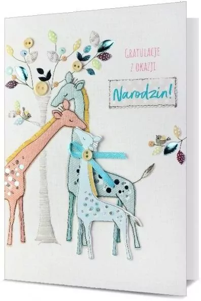 Karnet B6 Narodziny - tantis.pl