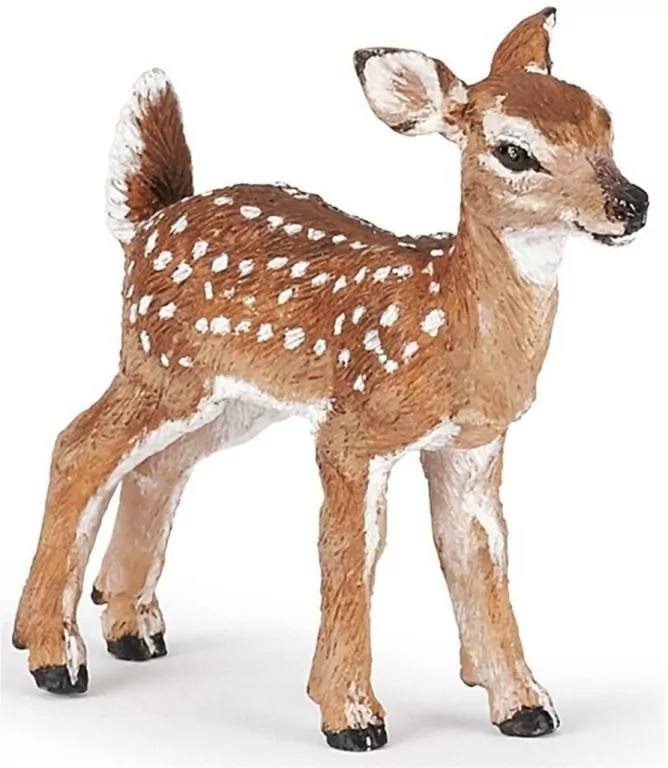 Płowy mulak białoogonowy jelonek - tantis.pl