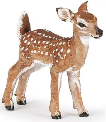 Płowy mulak białoogonowy jelonek