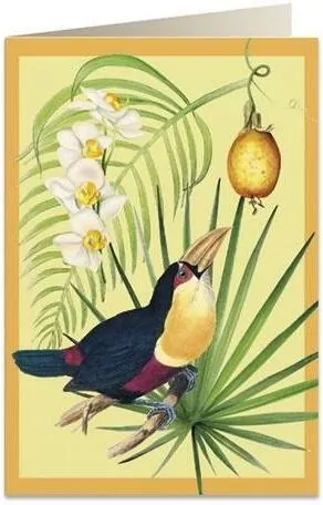 Karnet B6 + koperta: Tukan i owoc - tantis.pl