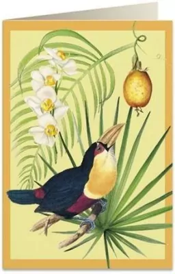 Karnet B6 + koperta: Tukan i owoc