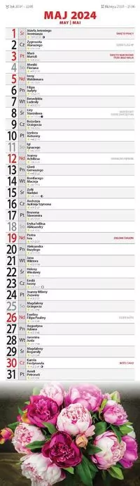 Franek i przyjaciele. Okulary. Jeżyk Franek - tantis.pl