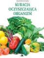 Kuracja oczyszczająca organizm - tantis.pl