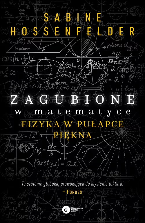 Zagubione w matematyce. Fizyka w pułapce piękna - tantis.pl