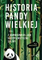 Historia pandy wielkiej, czyli z bambusowego lasu na dyplomatyczne salony - tantis.pl