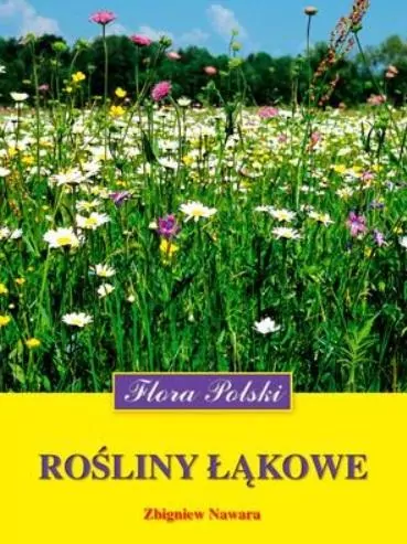 Rośliny łąkowe. Flora Polski - tantis.pl