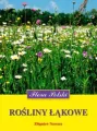 Rośliny łąkowe. Flora Polski - tantis.pl