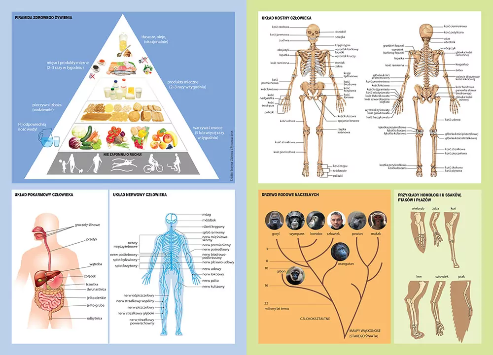 Matura. Biologia. Vademecum - tantis.pl