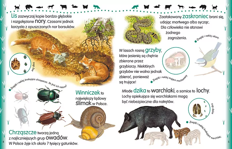 Zwierzęta polski 210 naklejek - tantis.pl
