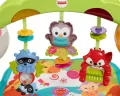 Fisher-Price Przyrząd gimnastyczny CCB70 p2 MATTEL - tantis.pl
