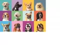 Puzzle 300 Super. Funny Faces - tantis.pl