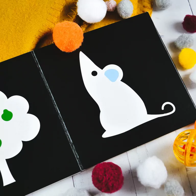 Moje pierwsze kolory. Książeczka kontrastowa - tantis.pl