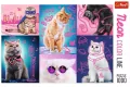 Puzzle 1000. Neon Color Line. Super cats - tantis.pl