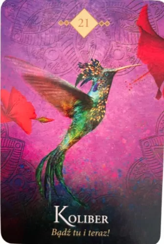 Wyrocznia duchowych zwierząt. Karty tarot - tantis.pl