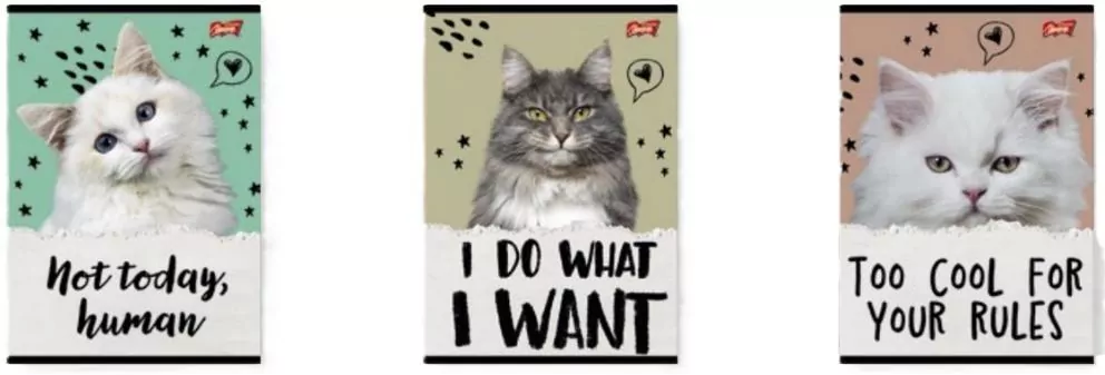 Zeszyt A5/32K kratka Caturday - tantis.pl