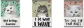Zeszyt A5/32K kratka Caturday - tantis.pl