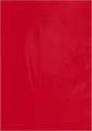 KARTON OZD A4 CZE 220G GAL PAP SAWANNA OP20SZT - tantis.pl
