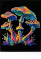 Diamond Dotz - Adults Flocked Neon Mushrooms - tantis.pl