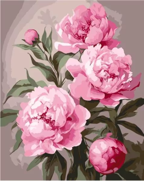Malowanie po numerach. Piwonia 40x50cm - tantis.pl