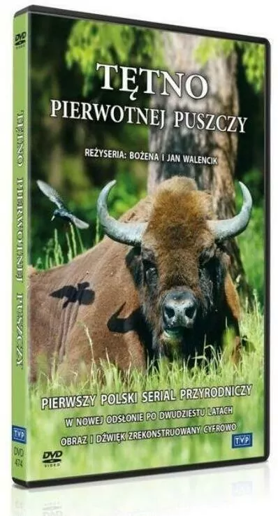 Tętno pierwotnej puszczy. DVD. - tantis.pl