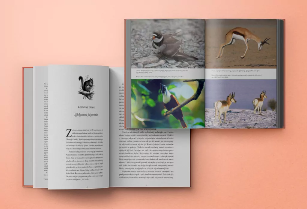 Na ścieżkach życia - tantis.pl