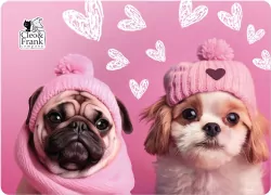 Podkładka laminowana. Cleo i Frank 42