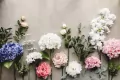 Hortensja biała 35cm - tantis.pl