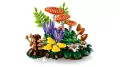 LEGO® Grzyby leśne 11505 - tantis.pl