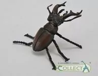 Jelonek rogacz - tantis.pl