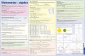 Podkładka na biurko. Wzory matematyczne. Algebra - tantis.pl
