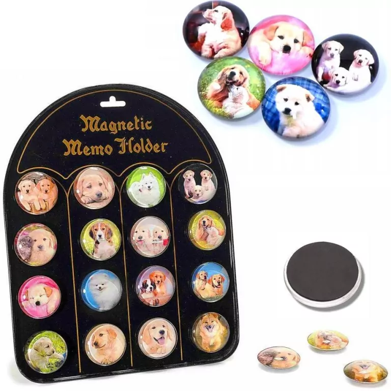 Magnesy psy - tantis.pl
