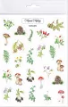 Naklejki. Leśne botaniczne - tantis.pl