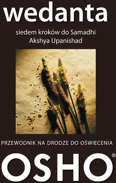 Wedanta. Siedem kroków do Samadhi - tantis.pl