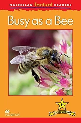 Factual: Busy as a Bee 1+ - tantis.pl