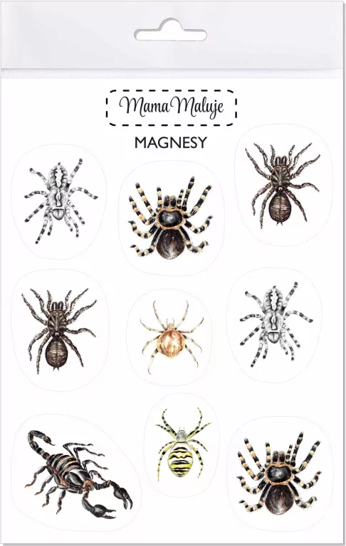 Magnesy. Pajęczaki - tantis.pl