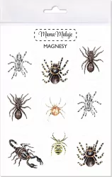 Magnesy. Pajęczaki