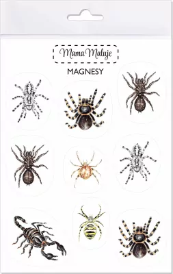 Magnesy. Pajęczaki