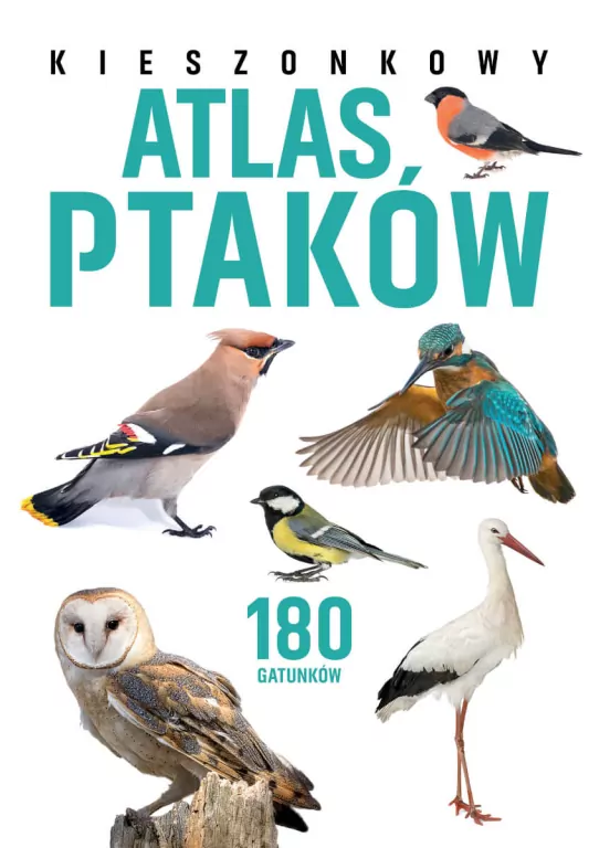 Kieszonkowy atlas ptaków. 180 gatunków - tantis.pl