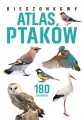 Kieszonkowy atlas ptaków. 180 gatunków - tantis.pl