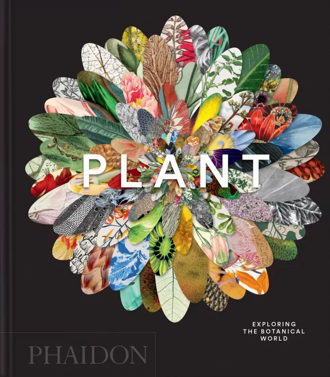 Plant - tantis.pl