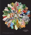 Plant - tantis.pl